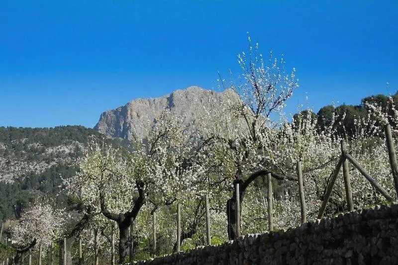 Hotel Casa Bougainvillea Sóller 3*,