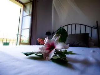Hotel Casa Bougainvillea Soller 3*,