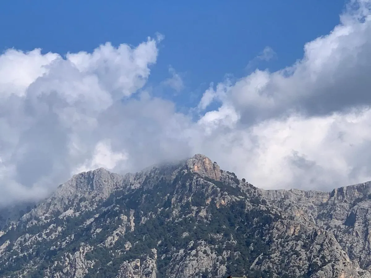 Hotel Casa Bougainvillea Sóller