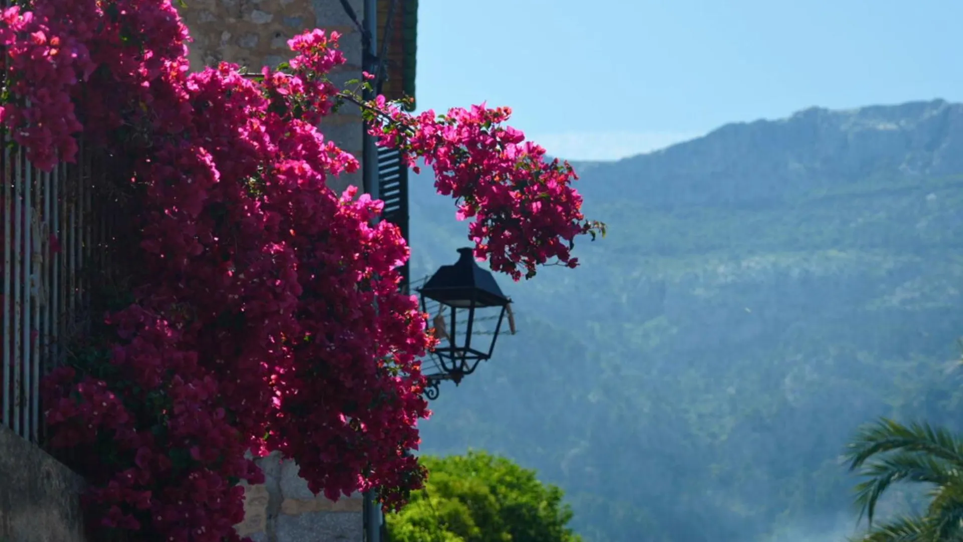 Hotel Casa Bougainvillea 소예르